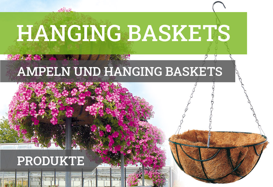 Auswahlbanner-desk-hanging-baskets