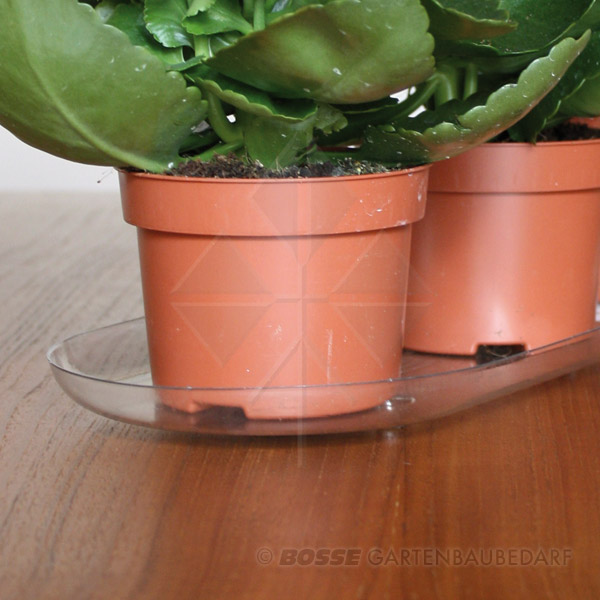 Untersetzer-PlantPak-detail2