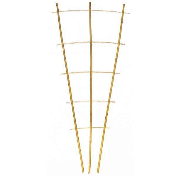 11-1010-TypS3 Bambus Rankhilfe Typ S3