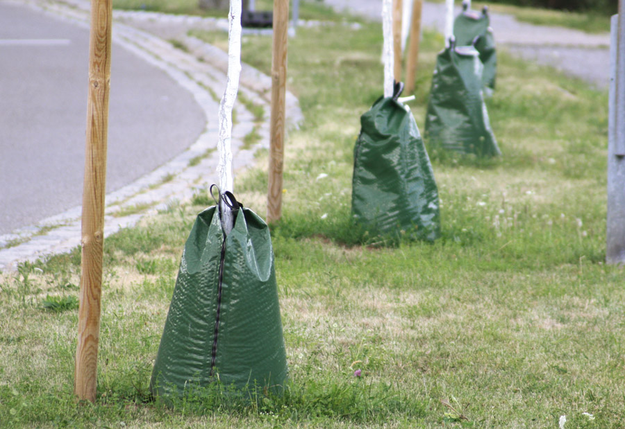 banner-desk-querformat-treegator-Gerlingen
