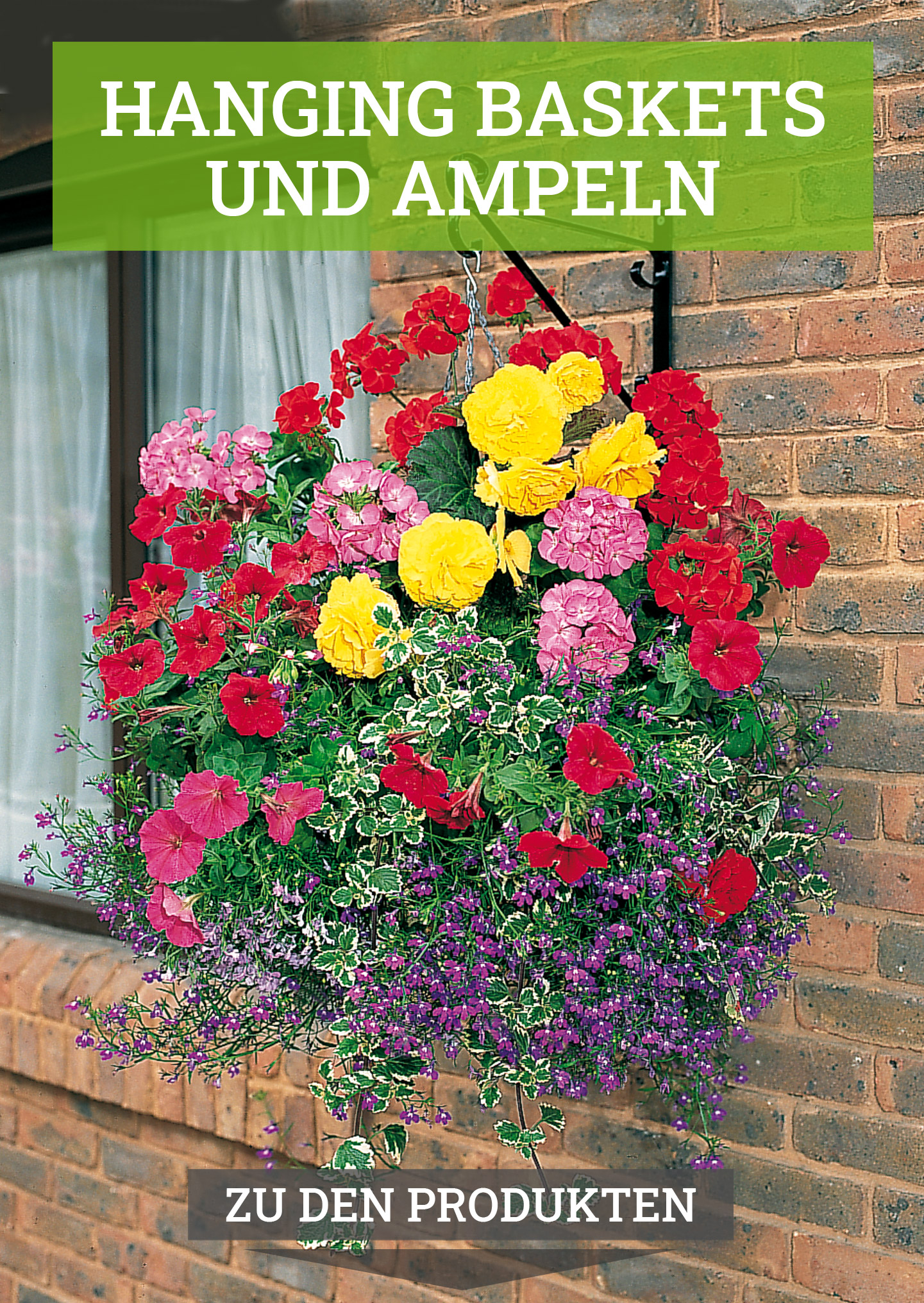 banner-start-desk-hochformat-ampel-fenster