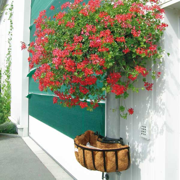 22290-Pfosten-Basket-Halbkorb2