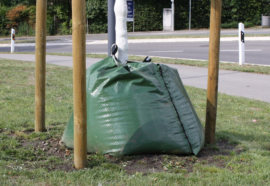 banner-desk-querformat-treegator-doppelt