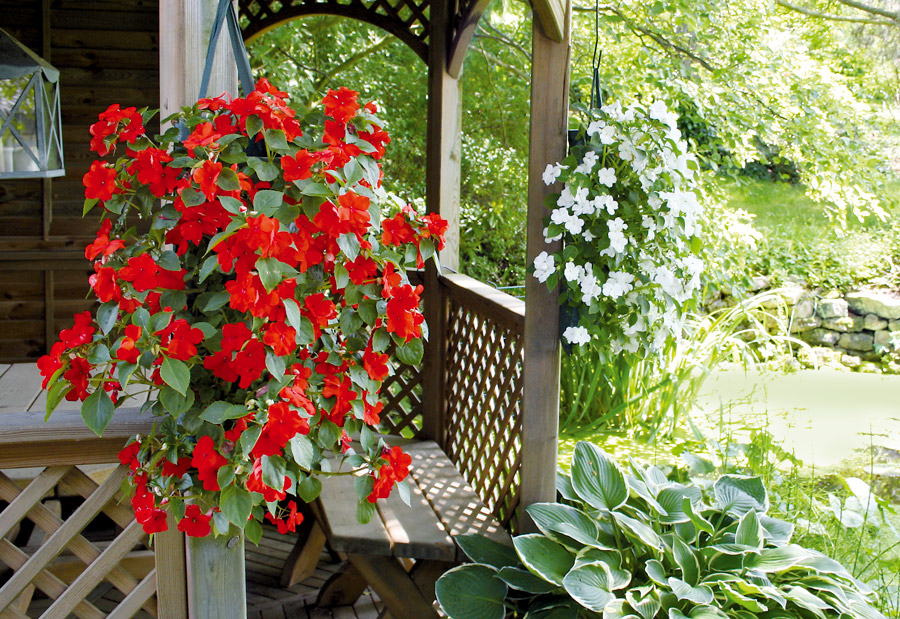 banner-start-desk-querformat-PBAteich