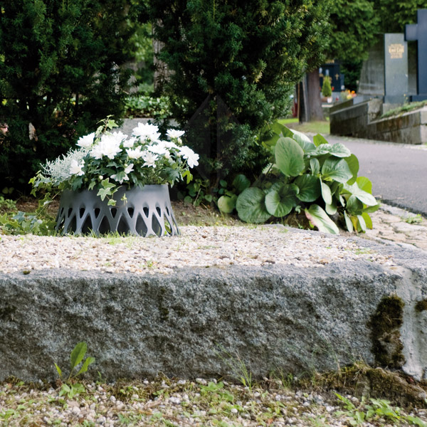 Schale-Roseta-anthrazit-action2