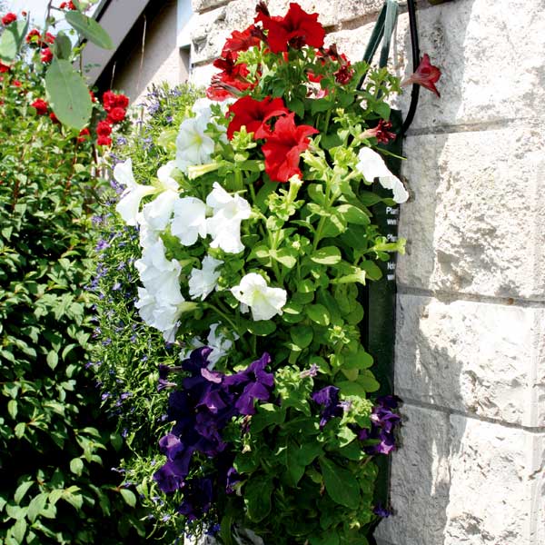 Pflanzbeutel-Beispiel3