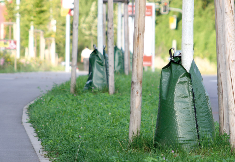 banner-desk-querformat-treegator-Ditzingen