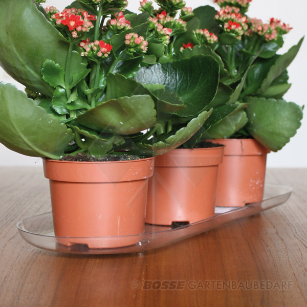 Untersetzer-PlantPak-detail