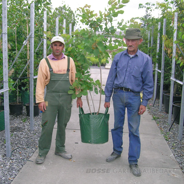 Baumschulcontainer-einfacher-Transport