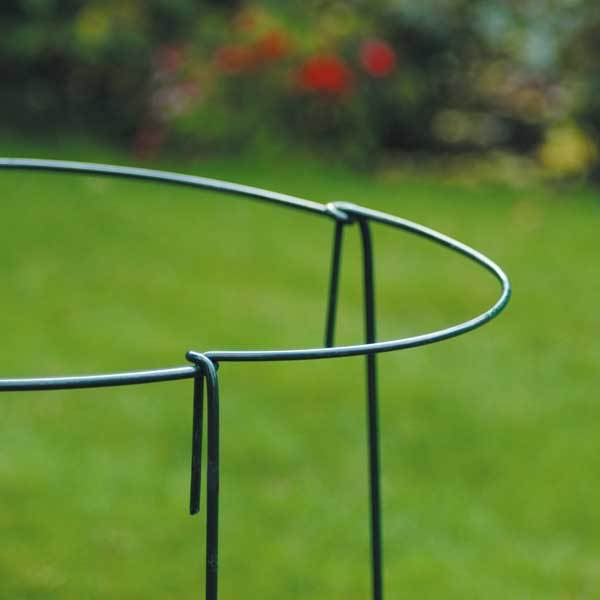 Staudenstuetze-Verbindung