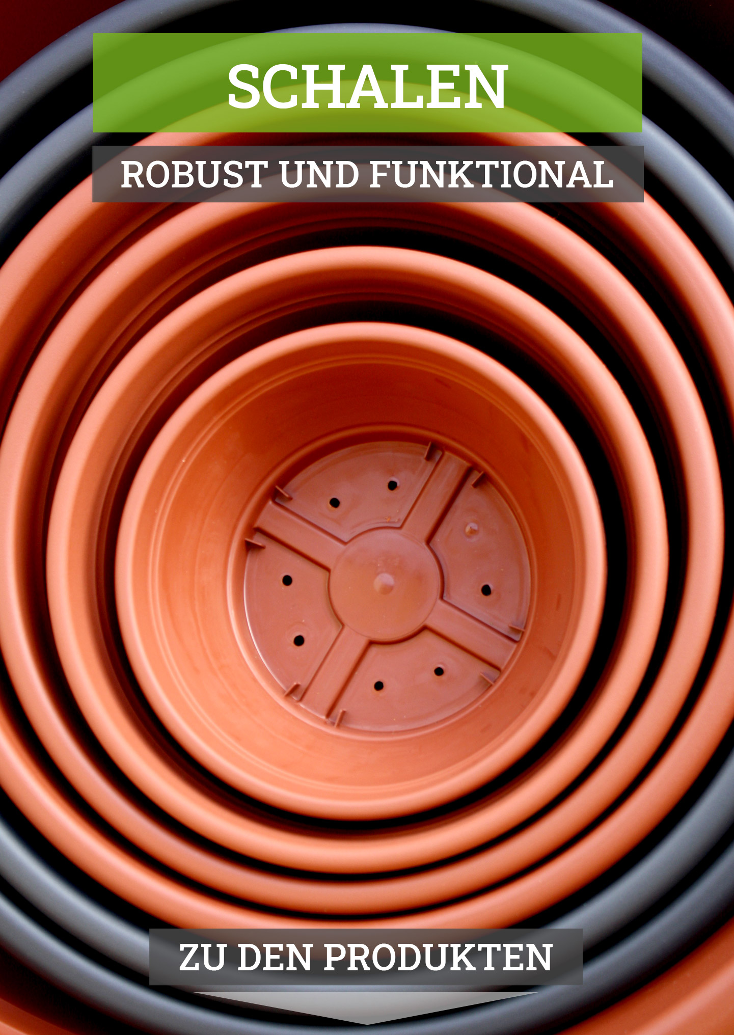 banner-kat-desk-hochformat-bellano