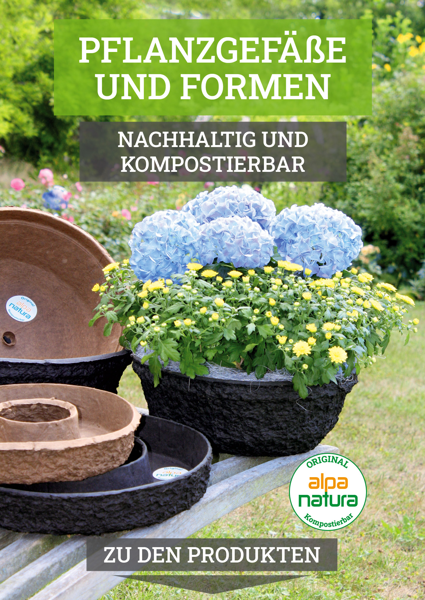 banner-kat-desk-hochformat-alpa